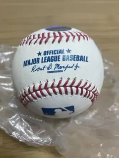 2025年最新】上原 サインボールの人気アイテム - メルカリ