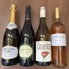 シャンパーニュ デクロ・フレール ミガキイチゴ・ムスー 花の舞 10,450円 シャンパーニュ デクロ・フレール ミガキイチゴ・ムスー 花の舞 10,450