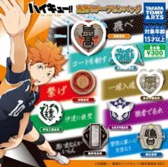 ハイキュー!! 高校モチーフピンバッジ 4個セット