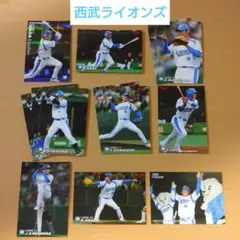 ★貴重★2005 Calbee Baseball Card 西武ライオンズ14枚