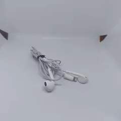 Apple Lightning 有線イヤホン　純正品　アップル純正　ライトニング