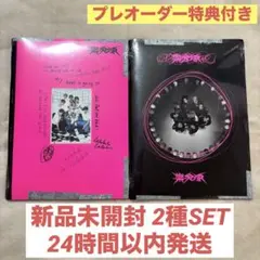 【新品未開封】StrayKids 樂STAR 通常盤 アルバム 2形態 セット