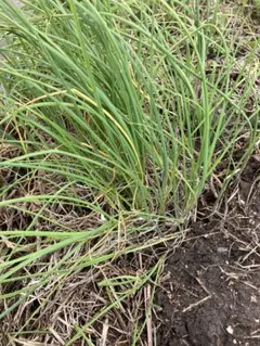 まー様 リクエスト 2点 まとめ商品