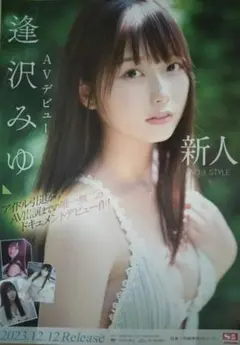 逢沢みゆポスター