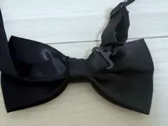 Item thumbnail for item 4b6cb65b-610b-4303-9b39-9873f034afe2