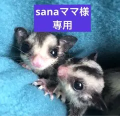 sanaママ様 リクエスト 3点 まとめ商品