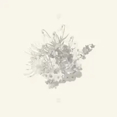 ミオヤマザキ 皆無 CD