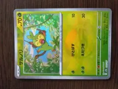 サルノリ　テラスタルフェス　モンスターボールミラー