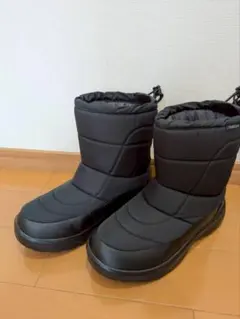 Item thumbnail for item 52d43bd1-2dcf-4528-8e82-51d37c744122