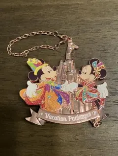 ディズニー　バケーションパッケージ　バケパ キーホルダー