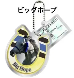 2026年最新】jra キーホルダーの人気アイテム - メルカリ