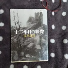 Item thumbnail for item 2c92af70-7478-46bd-8bfc-79db38d92caa