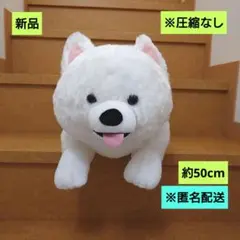 新品　FANS　サモエドの子犬　ぬいぐるみXL　プレミアム　匿名配送