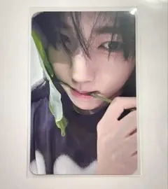 ZB1 ユジン MELTINGPOINT everline トトロ トレカ