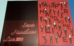 SUPER HANDSOME LIVE 2014 ハンサム パンフレット