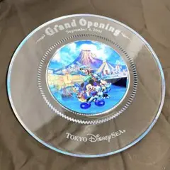 [レア品]Disney sea 2001グランドオープン記念皿(プレート)貴重品 入手困難】美品ディズニーリゾート2001年グランドオープン記念