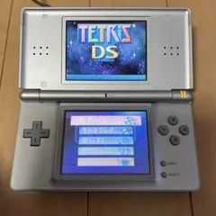の*か様 【動作確認済み】Nintendo ニンテンドーDS Lite USG-