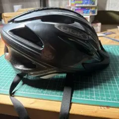 Item thumbnail for item 06a3d865-4d24-482f-95f8-c8a20acba56b