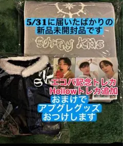 期間限定値下げ！◆エコパ記念トレカ付◆アプグレグッズ付◆スキズ マフラー