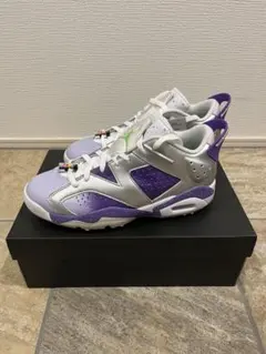 新品Nike Air Jordan 6 Low Golf NRG レトロ6G