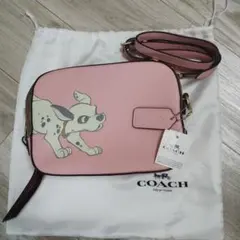 2025年最新】coach 101匹わんちゃんの人気アイテム - メルカリ