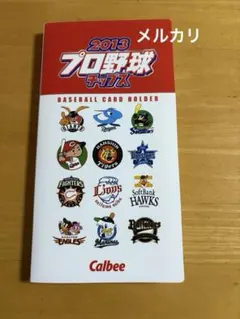 カルビー　プロ野球チップス　カードホルダー　2013年