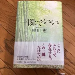 Item thumbnail for item 86b54816-688b-43fa-8acb-d6d89ed0496f