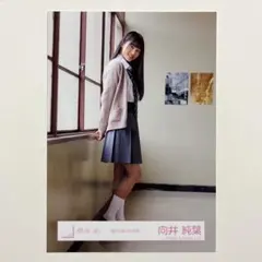 Item thumbnail for item 4b4dc619-10ca-4785-be22-566001553614