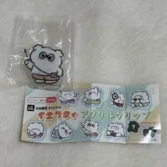 イエプティ アクリルクリップ