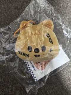 スキズ KARMA POPUP ポップアップ ネームタグ ハン クォッカ