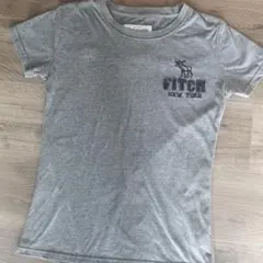 Abercrombie & Fitch アバクロ Tシャツ グレイ 灰色 M