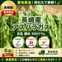 長崎産アスパラガス Ｂ品 細め 500グラムのサムネイル
