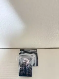 Harry potter めじるしアクセサリー +3 タイムターナー