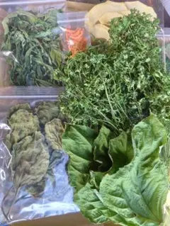 Item thumbnail for item da265381-668a-4a35-bce5-97e3b45f4588