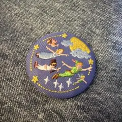 わ*）様 ディズニー刺繍缶バッジ　ピーターパン