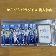 カラフルピーチ からぴちパラダイス 2025 購入特典 チケット風カード