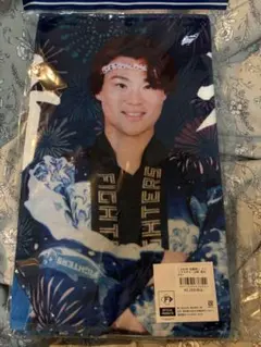 北海道日本ハムファイターズ 選手集合バスタオル(非売品)山﨑福也田宮