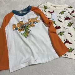 新品キッズ恐竜柄 長袖Tシャツ2枚セット男の子120cmまとめ売り 綿100%