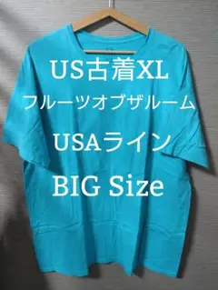 【US古着XL】フルーツオブザルームBIG Size K-30
