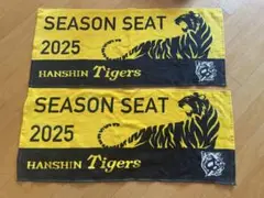 HANSIN Tigers 2025シーズンタオル
