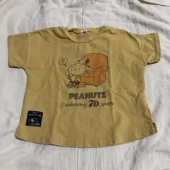 ダックスの大群様 リクエスト 2点 まとめ商品