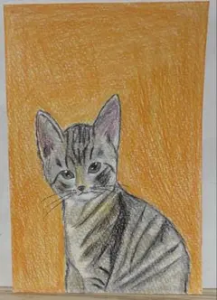 猫の絵◇猫◇新品 美品【水性絵具/パステル/色鉛筆】◇防水&丁寧梱包