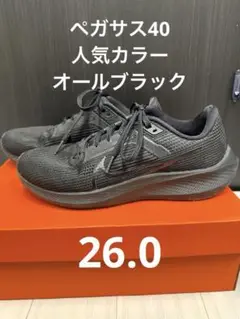 【超人気オールブラック】Nike zoomペガサス40 26cm