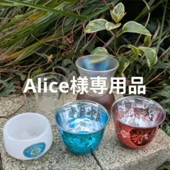 Alice様専用 まとめ売りセット