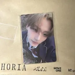 サンウォン ALD1 euphoria pluschat 予約特典トレカ