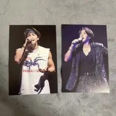 RIKU PRIMAL SPIDER ポストカード