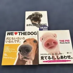 アニマル　動物　写真集　ミニニュチュアシュナウザー　THEDOG