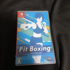Fit Boxing