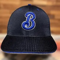 Item thumbnail for item fca99354-e0a2-4258-89df-fd5e952fb7a4