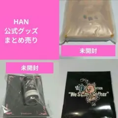 三代目JSBアプグレ 味の素スタジアム 入場特典 FC限定ポーチ - メルカリ